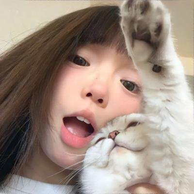 晴晚之林