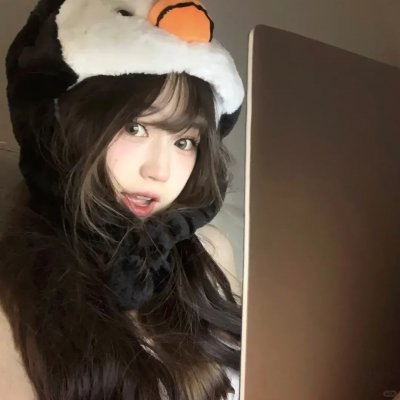 美国兔子的冒险